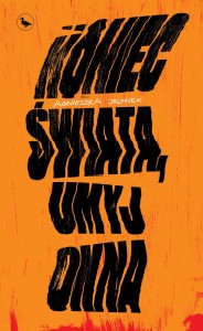 Koniec świata,  umyj okna - ebook